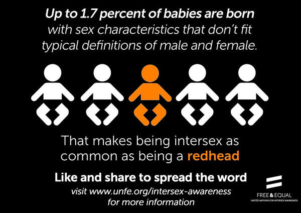 A field of sunflowers.